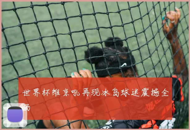 世界杯维京吼再现冰岛球迷震撼全场