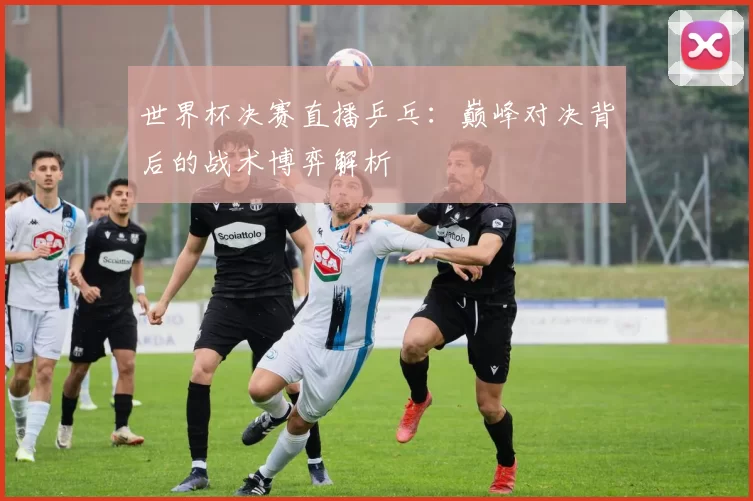 世界杯决赛直播乒乓:巅峰对决背后的战术博弈解析