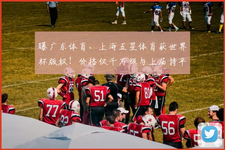 曝广东体育、上海五星体育获世界杯版权！价格仅千万级与上届持平