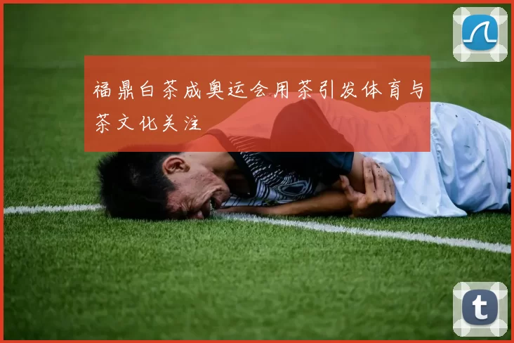 福鼎白茶成奥运会用茶引发体育与茶文化关注