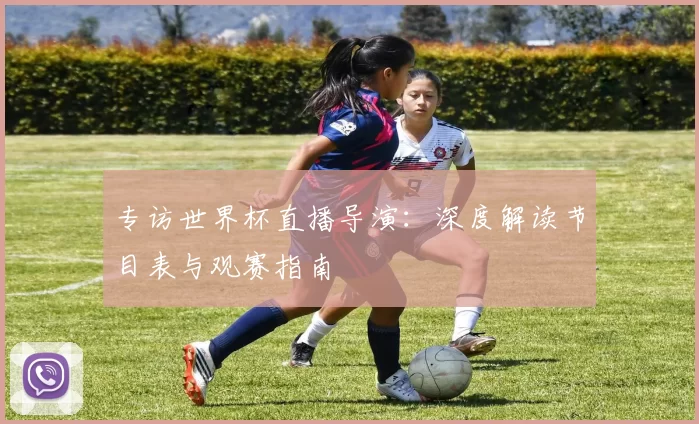 专访世界杯直播导演:深度解读节目表与观赛指南