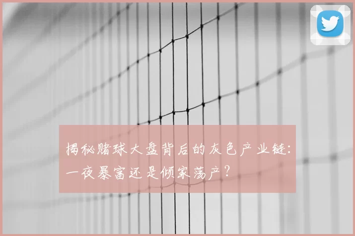 揭秘赌球大盘背后的灰色产业链:一夜暴富还是倾家荡产?