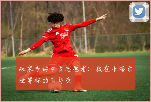 独家专访中国志愿者:我在卡塔尔世界杯的日与夜