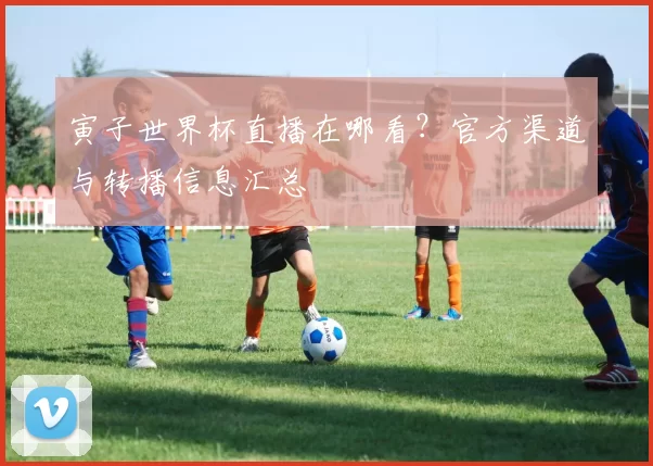 寅子世界杯直播在哪看？官方渠道与转播信息汇总