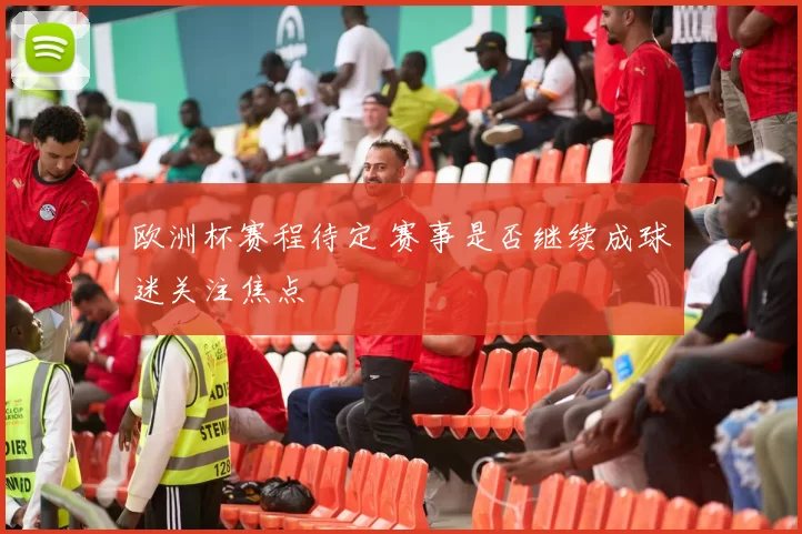 欧洲杯赛程待定 赛事是否继续成球迷关注焦点