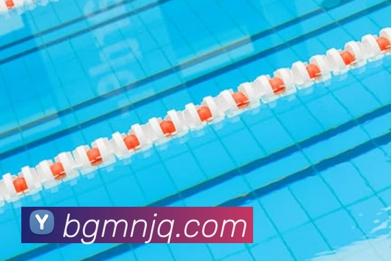 企业概况